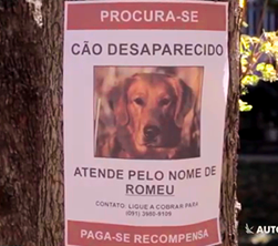 Rastreador de animais