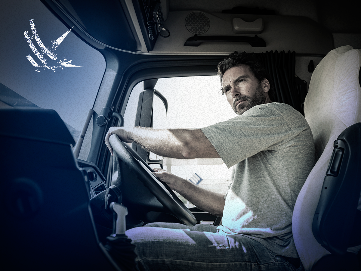 perfil do caminhoneiro